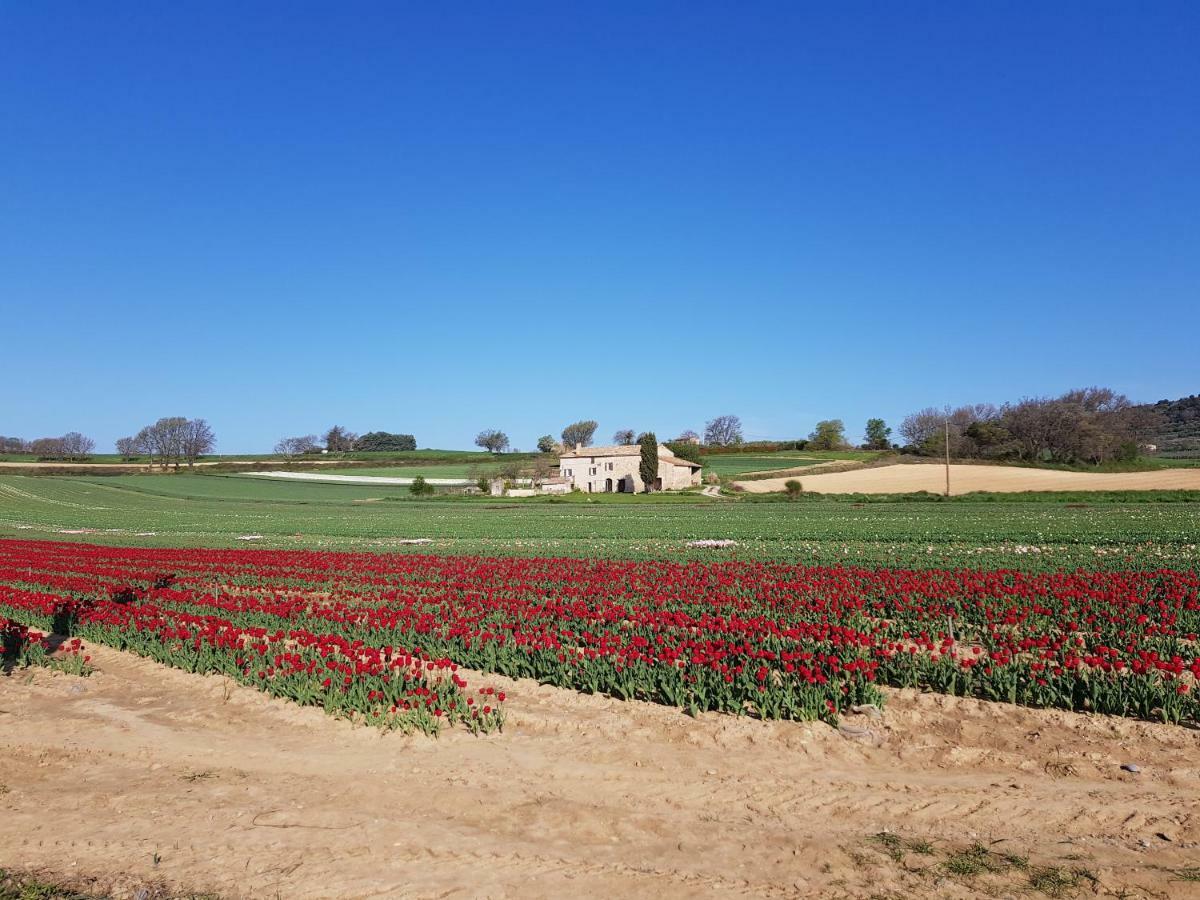 Grange Voutee Avec Jardin Villa Mane  Exterior photo